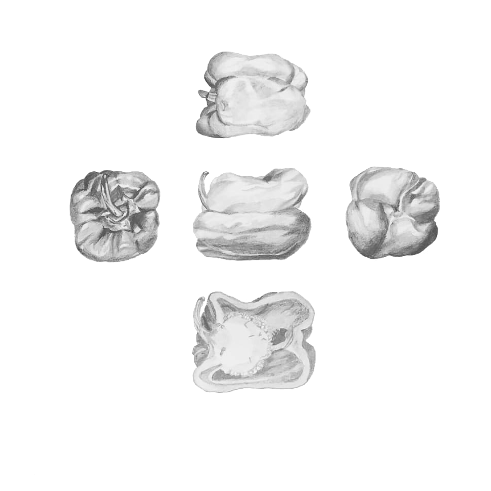 Edited Pepper No Background